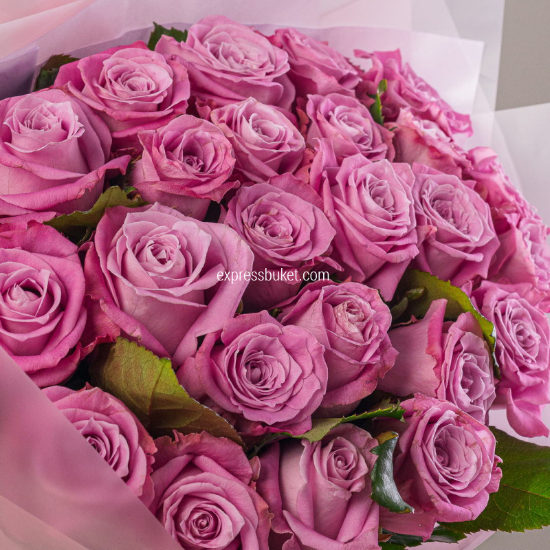 Букет из 25 роз Маритим