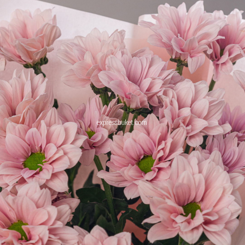 Букет из 3 кустовых хризантем