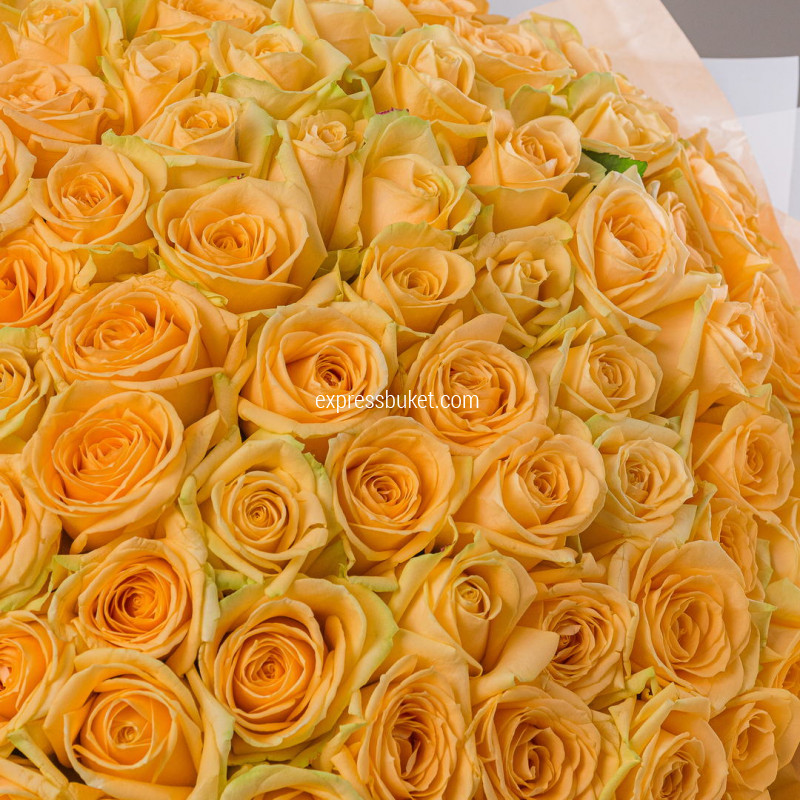 101 роза Аваланж Пич