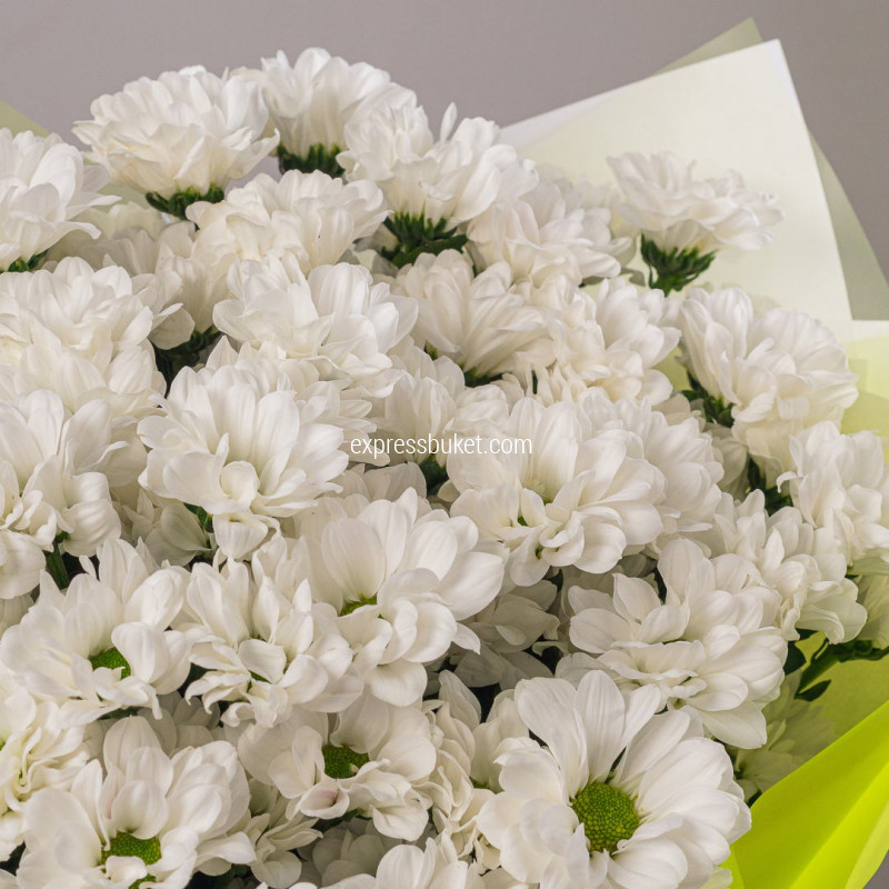 Букет из 11 белых кустовых хризантем