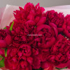 Пионы красные 9шт