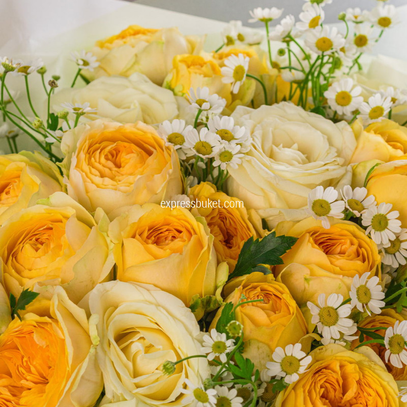 Лето в ладонях