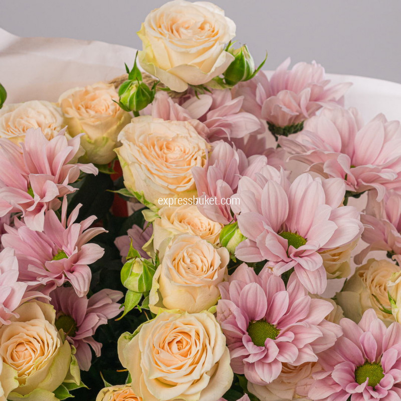 Цветной комплимент 