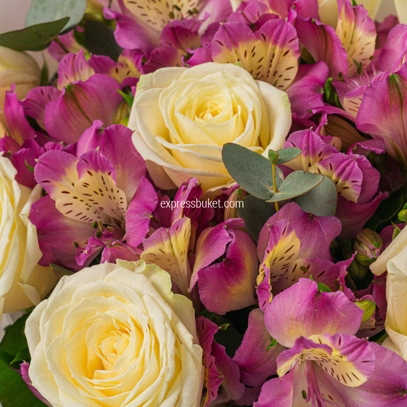 Яркий привет