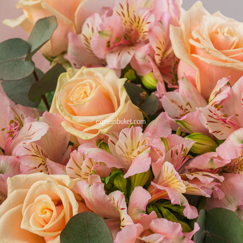 Цвет твоей души