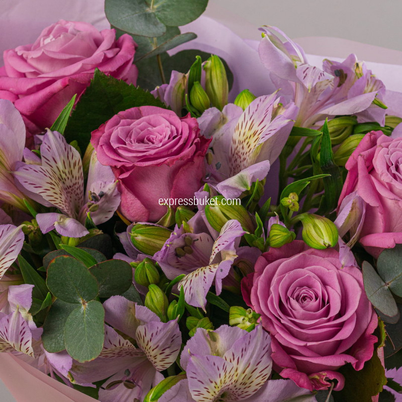 Фиолетовый штрих