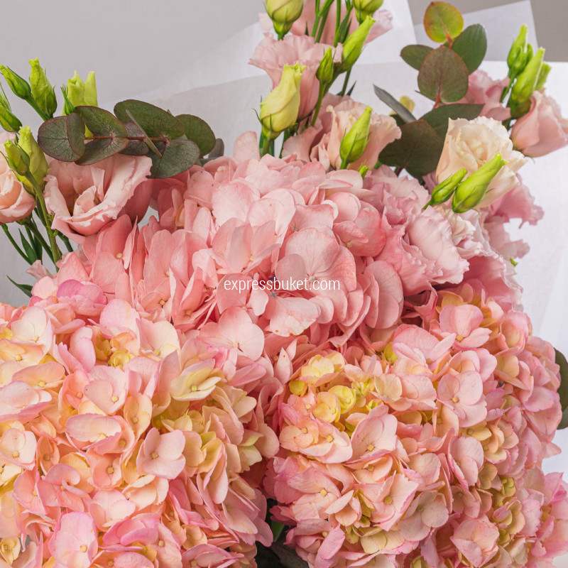 Диалог цветов