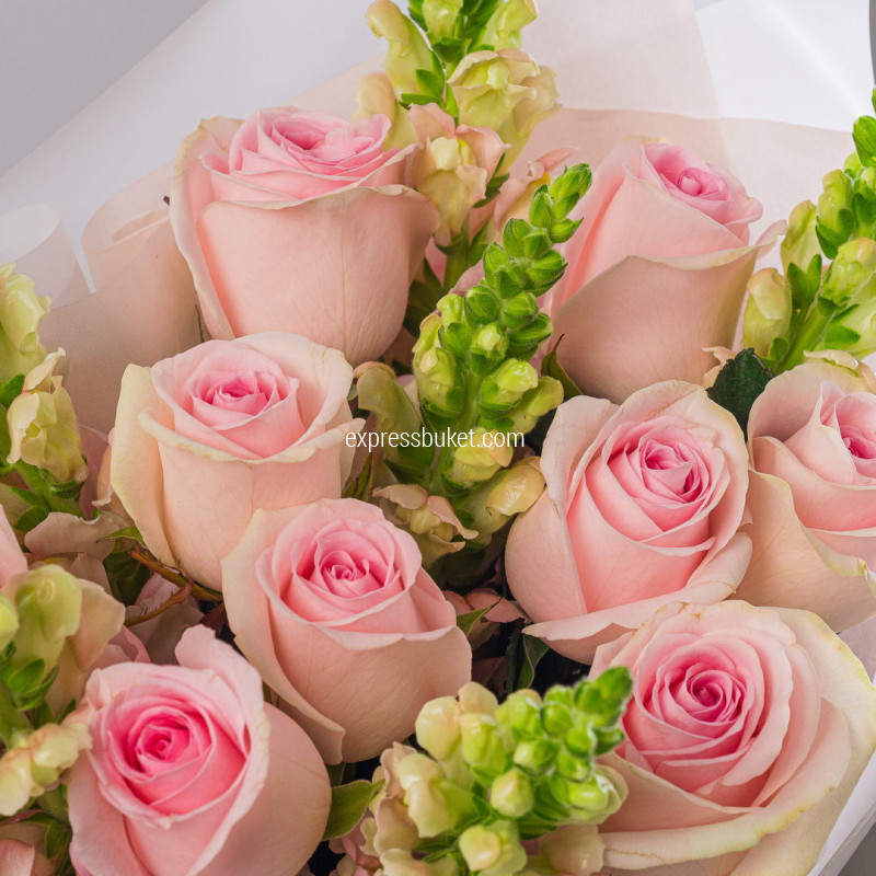 Свежесть утра